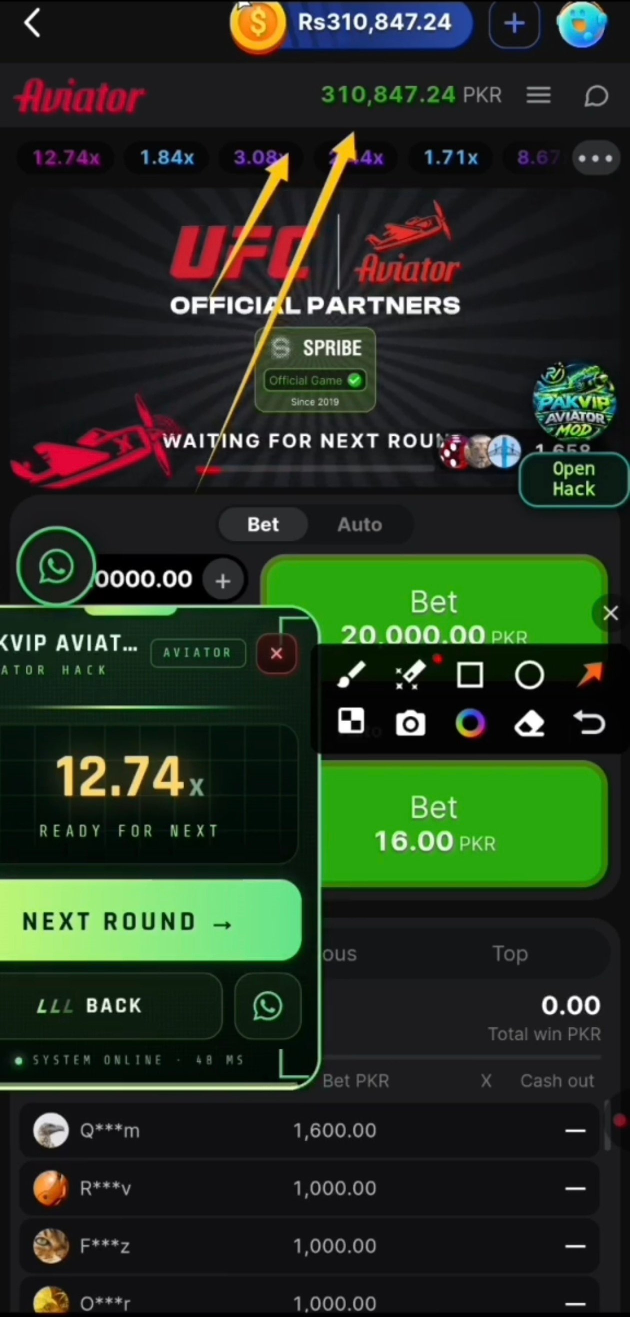 PakVip Aviator panel screenshot